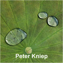 Peter Kniep