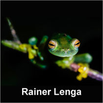 Rainer Lenga