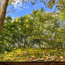 Abords du lac des Minimes au bois de Vincennes