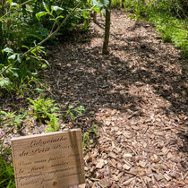 Festival international des jardins de Chaumont sur Loire 2025