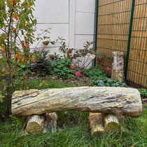 Octobre 2025 : le jardin a presque 1 an