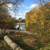 Lac des Minimes du bois de Vincennes