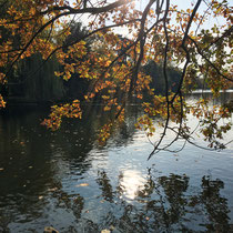 Lac des Minimes du bois de Vincennes