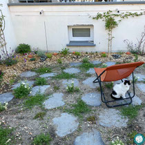 Juin 2022 - Jardin en fin de réalisation