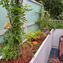 Terrasse à 3 mois (Septembre)