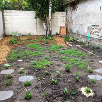 Le jardin juste après la plantation par les clients