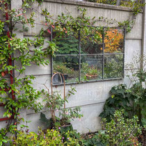 Automne 2025 : le jardin a 5 ans