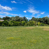 Vue de loin sur l'allée de grimpantes de l'école Du Breuil