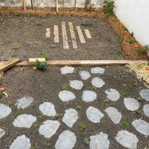 Jardin quasiment terminé : les plantes alternatives au gazon auront bientôt tout recouvert !