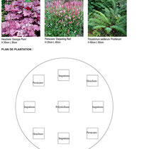 Palette végétale et plan de plantation des bacs de l'entrée du service