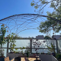 La cabane polypode est ses grimpantes pour ombrager l'espace repas
