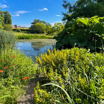 Vue sur la grande mare et l'école Du Breuil