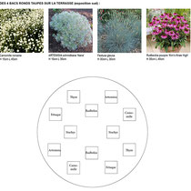 Palette végétale et plan de plantation des bacs sur la terrasse ensoleillée