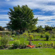 Collection de saisonnières de l'école Du Breuil