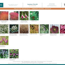 Palette végétale - extrait