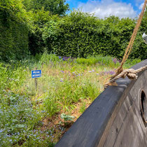 Festival international des jardins de Chaumont sur Loire 2025