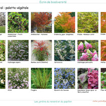 Palette végétale