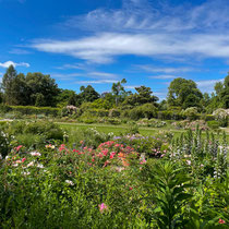 Roseraie de l'école Du Breuil