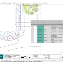Plan de plantation des aromatiques