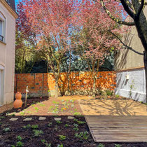 Jardin 1 mois après plantation