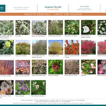 Palette  de la noue plantée