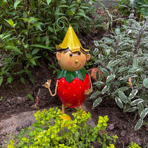 Jardin après travaux