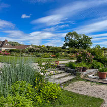 Escaliers du Bassin de la roseraie