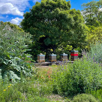 Voilà la maison des abeilles de tout à l'heure...