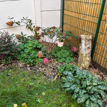 Octobre 2025 : le jardin a presque 1 an