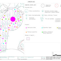 Plan de plantation du Jardin sec