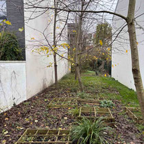 Jardin avant travaux