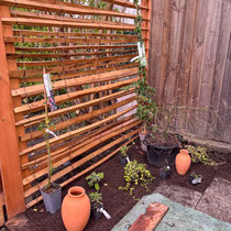 Plantations et mise en place des ollas