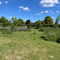 Mai 2025 : le jardin a 2 ans