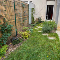 Octobre 2025 : le jardin a presque 1 an