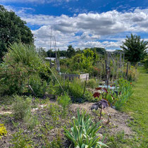 Zone de travaux pratiques de l'école Du Breuil