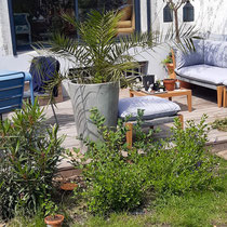 Le jardin 1 an après la plantation - Photo client