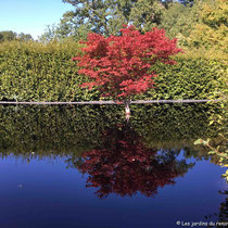 festival des jardins de chaumont sur loire 2018 - Possibilité d'une ile © Sandrine Tellier