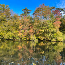 Reflets sur le lac des Minimes