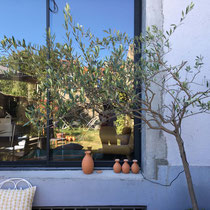 Promesse de terrasse...