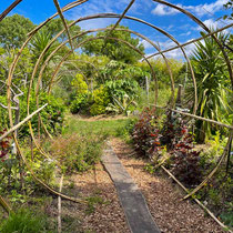 Collection de saisonnières de l'école Du Breuil
