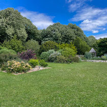 Fruticetum de l'école Du Breuil