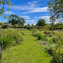Roseraie de l'école Du Breuil