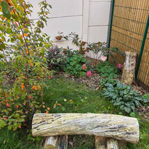 Octobre 2025 : le jardin a presque 1 an