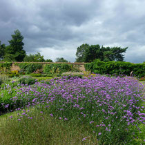 Jardin de vivaces