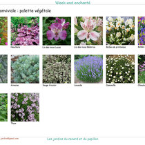 Palette végétale de la terrasse