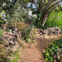 Le chat de l'école Du Breuil ?