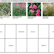 Palette végétale et plan de plantation des jardinières au soleil