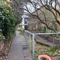 Jardin avant travaux
