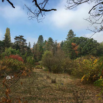 Arboretum des Barres - Couleurs d'automne
