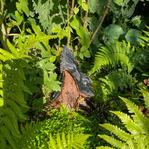 Festival international des jardins de Chaumont sur Loire 2025